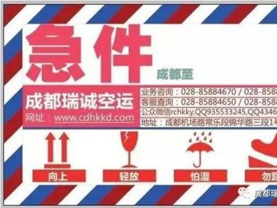 小型宠物航空托运